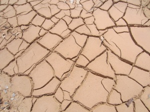 dry cracked dirt